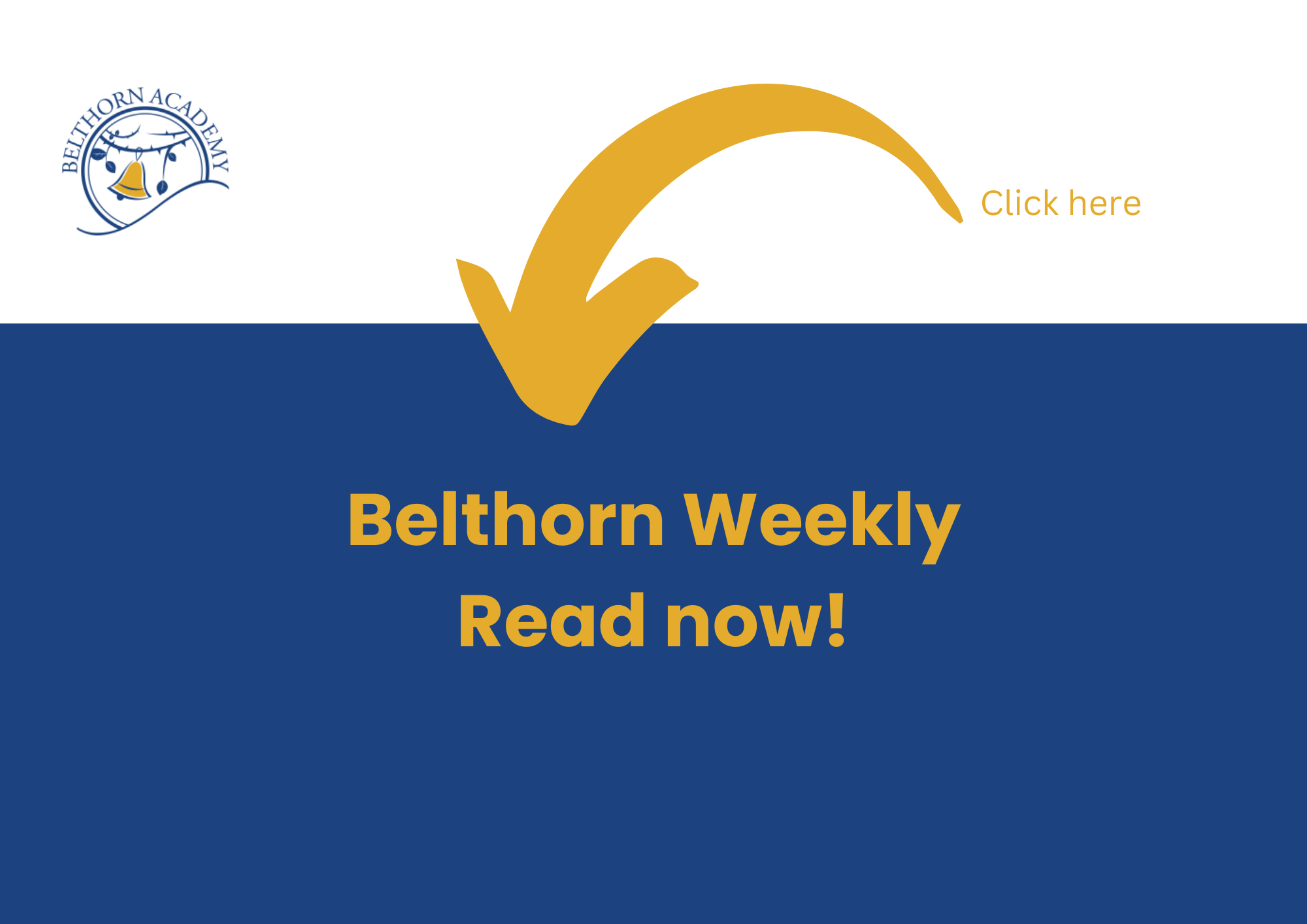 belthorn-weekly-5th-july-2024-belthorn-academy-primary-school