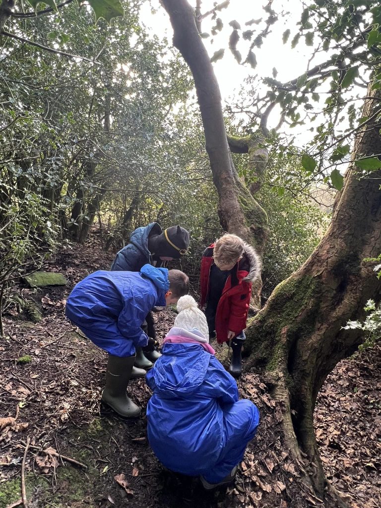 Belthorn Weekly 3 February